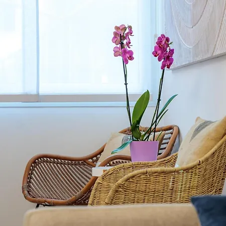 An-nam Homestay, 50m De La Plage, Centre Ville De Nice, Zone Piétonne Hébergement de vacances